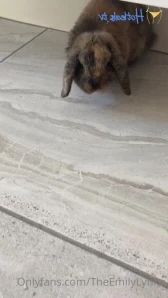 Theemilylynne - part 20