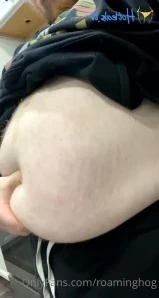 Roaminghog - fat piggy loves using its vibrator on its little clit