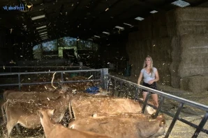 Jerseycowgirl - I carried a hay bale