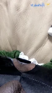 Aj180 - Three Legged Whore I had a good ole oily fun time on