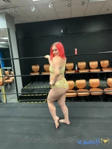 Pandemicprowrestling - Just a short example of my favorite in ring