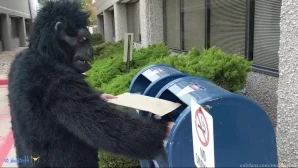 Monsterbait - Got a lot of these fun bat in shirt shots but trying to