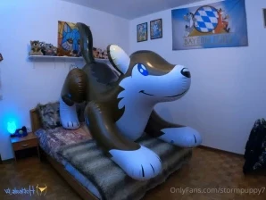 Stormpuppy7 - For my inflatables fans I tested the new husky sled I