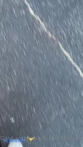 Only1exploremysoles - My Dog Wanted A Cameo under the couch But Get A