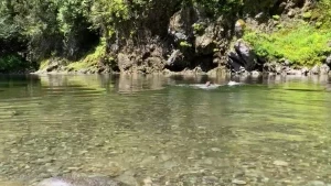 Nicollelove - Having an hour to myself all alone What should I do I m part 16