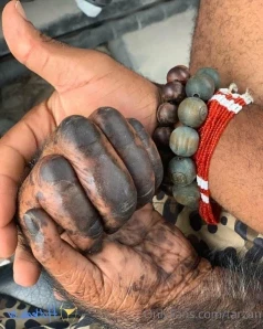 Tarzan - Respect goes a long way