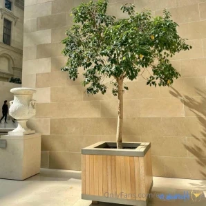 Enzabel_chloe - Hey part 4