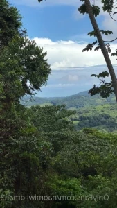 Naomiwildman3 - PLEASE SEE THE NEW VIDEO MENU BELOW Hello my lovely part 3