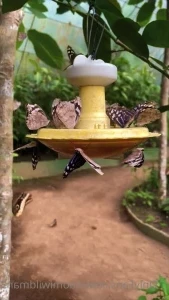 Naomiwildman3 - Trust me YOU WANT TO READ THIS ENTIRE POST Or swipe to part 3