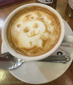 Michelemma - I love my job No Gi training