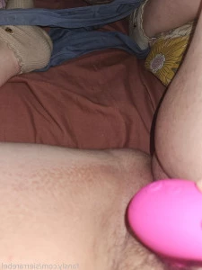 Sierrarebel - Which one