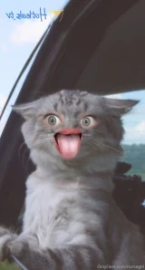 Nursegirl - Do you want to see me fuck my asshole for the first time part 4