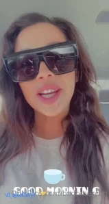 Dixiepalms - tell me what your thinking