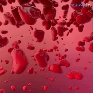 Alicenz - streaming in 10 mins