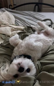 U141419019 - New twin pics coming Thursday Hopefully OnlyFans leaves