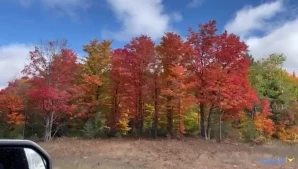 Brandi_love - Late night jerk material anyone how about FACIALS AND part 3