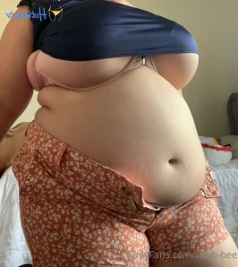 Chub-bee - Haven t posted a stuffing in a while Sorry for my absence I part 2