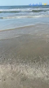 Tiffsworld - Thanks for the LIVE ily guys 