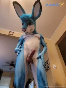 Coldbuns - Got all prettied up for my big ole Stolf stallionwolf by