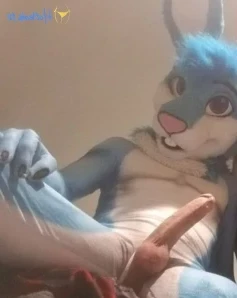 Coldbuns - New stud buck content for the week Enjoy viewing this meaty