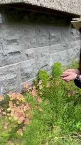 Piperblushfree - The Corpse Reviver No 2 in Piper s Bar Piper s