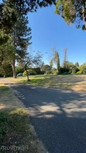 Piperblushfree - Bubble Gum Fetish Being a collared female entertainer