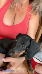 Bellabodhi - whoever has the patience to wait miracles await Also i