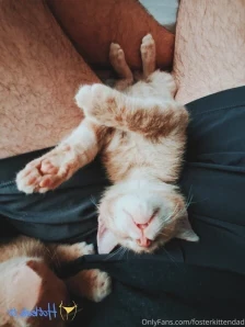 Fosterkittendad - Since I am new here and want to test out how all the part 2