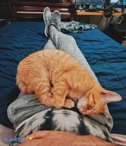 Fosterkittendad - Kitty ASMR time Alex would like it if you joined him part 2