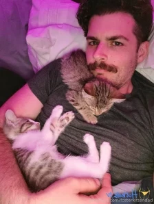 Fosterkittendad - Setting boundaries with kittens that are only a few part 3