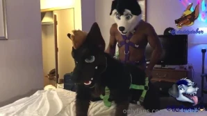 Daddydober - More Furrydelphia fun AD_Saberhusky hopped in the sling