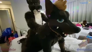 Daddydober - Woof BoneFiddle tops Wyrdhound and I then I get an extra