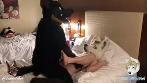 Daddydober - Short compilation of puppy wyrdhound pounding my butt