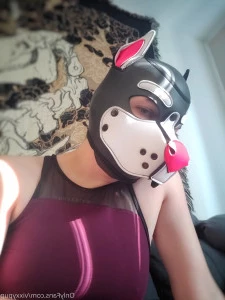 Vixxypup - Puppy enjoying a lazy Sunday Wish someone would come pet me