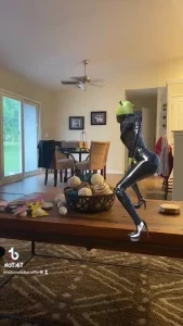 Realqueenkasey - I m so obsessed with my new fairy Thank you Slave R part 13