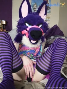 Purplehuskymurr - Sirius wanted to show off his feet for you before he