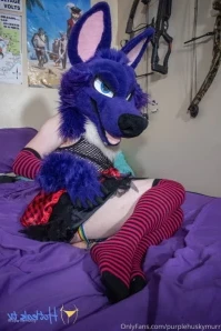 Purplehuskymurr - Sirius wanted to show off his feet for you before he