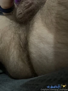 Pup_chomper - That one time my buddy let me try his harness on You can