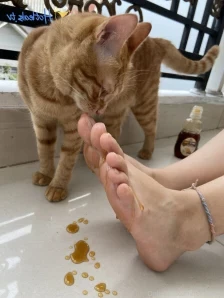 Feetbecks - Licking honey off my toes