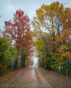 Lyric_in_my_head - Good morning