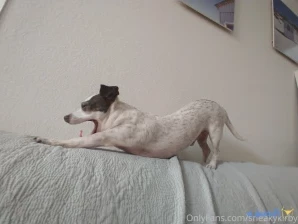 Sneakykirby - First picture Pogu