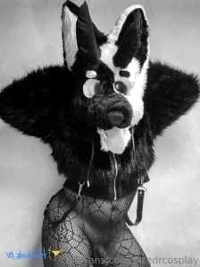 Ratedrcosplay - Bun bun maid at ur service Set 2