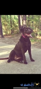 Brookes_world - Come here baby I m ready