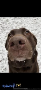 Brookes_world - I need you to get deep inside me and give me every