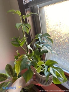 Brookes_world - I love the feeling of being fucked by a powerful alpha