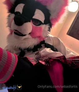 Sebasfortis - Like what s under the skirt Other Content https linktr