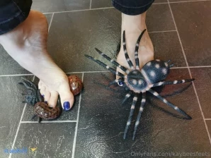 Kaybeesfeets - Some cold toe wriggles today