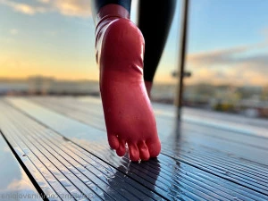 Rinavolpina - LatexSeries 21 - Pets Foxes don t usually make good pets