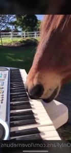 Koziebearvip - Happy Sunday see you online in 5