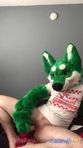 Harlthehusky - Sorry for the delay I got the package I needed a day 